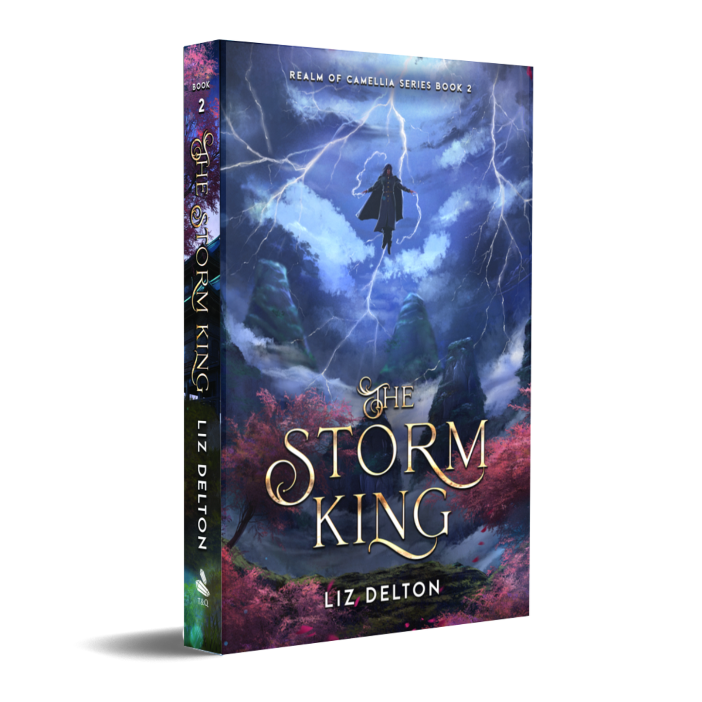 The Storm King Paperback