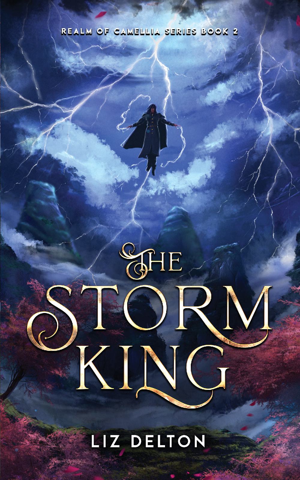 The Storm King Paperback