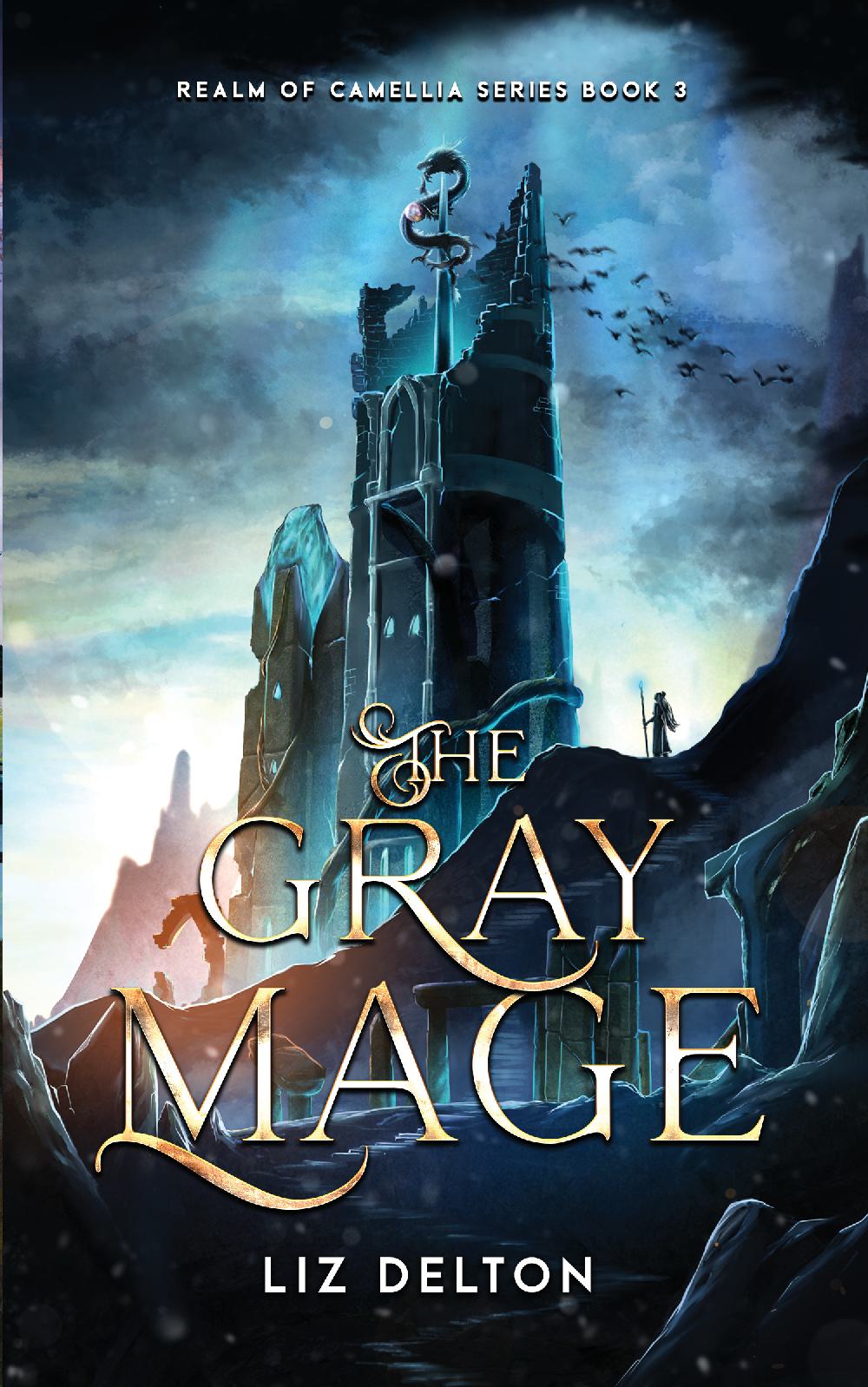 The Gray Mage Paperback