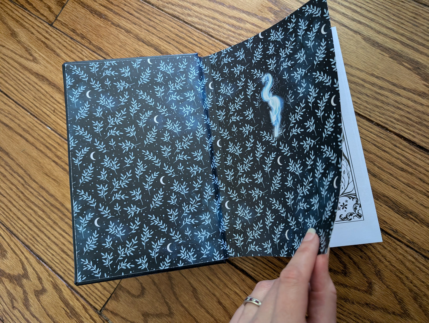 Realm of Camellia Limited Edition Hardcover (Signed)