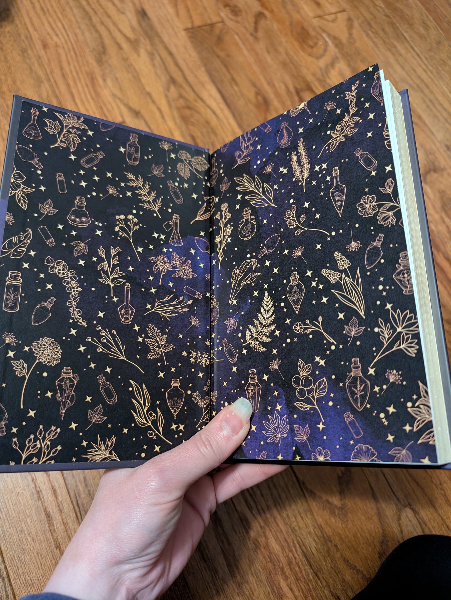 The Witch at the Edge of the Wood Deluxe Hardcover (Signed)