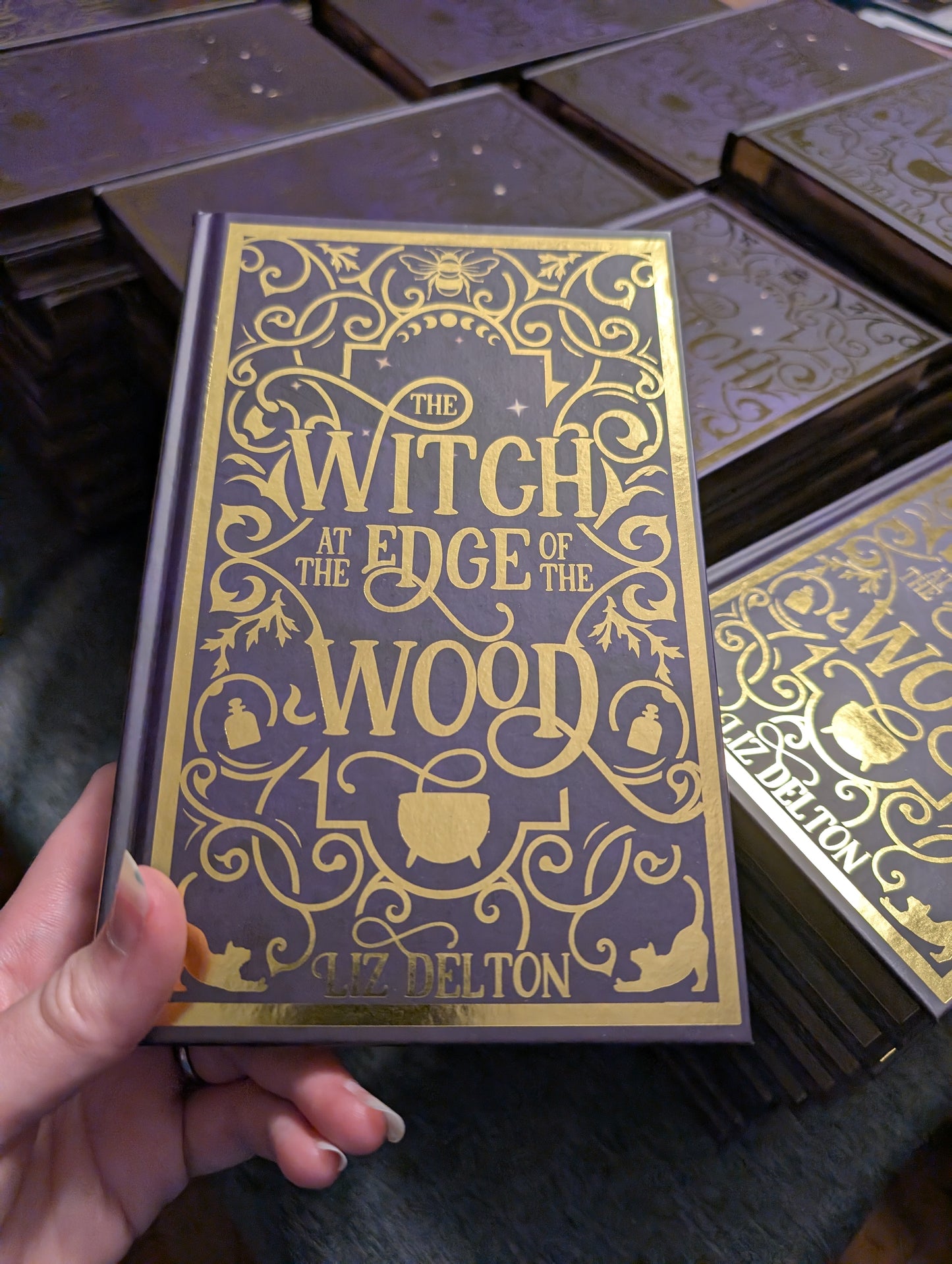 The Witch at the Edge of the Wood Deluxe Hardcover (Signed)