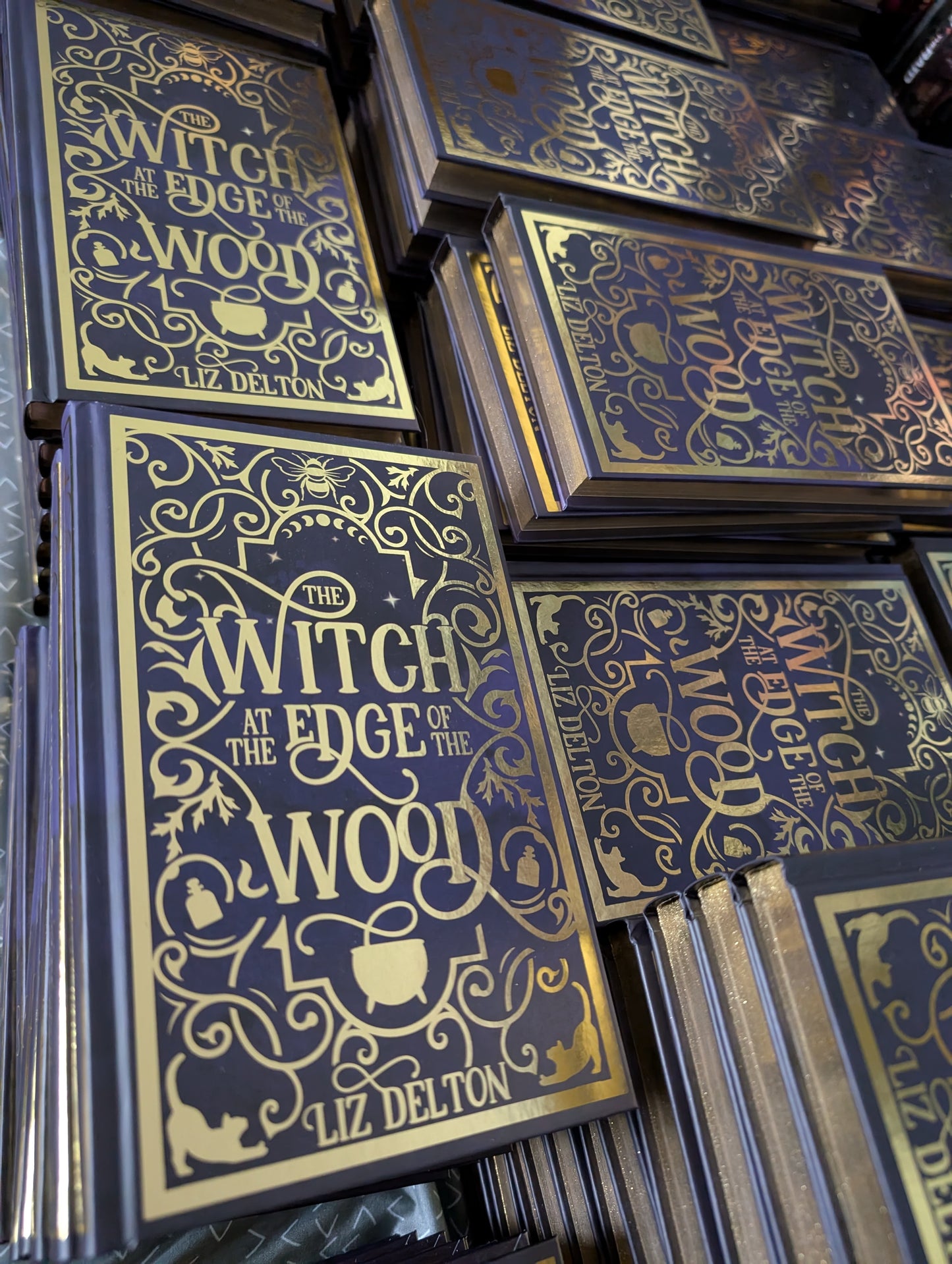 The Witch at the Edge of the Wood Deluxe Hardcover (Signed)