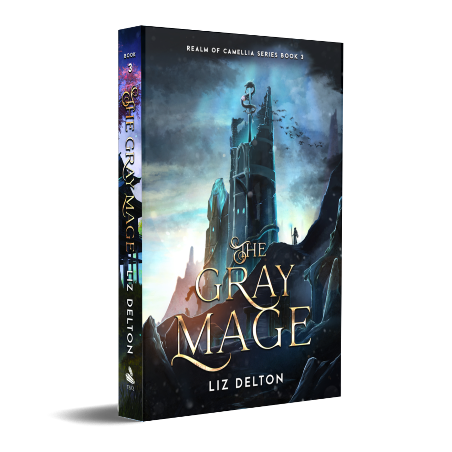 The Gray Mage Paperback