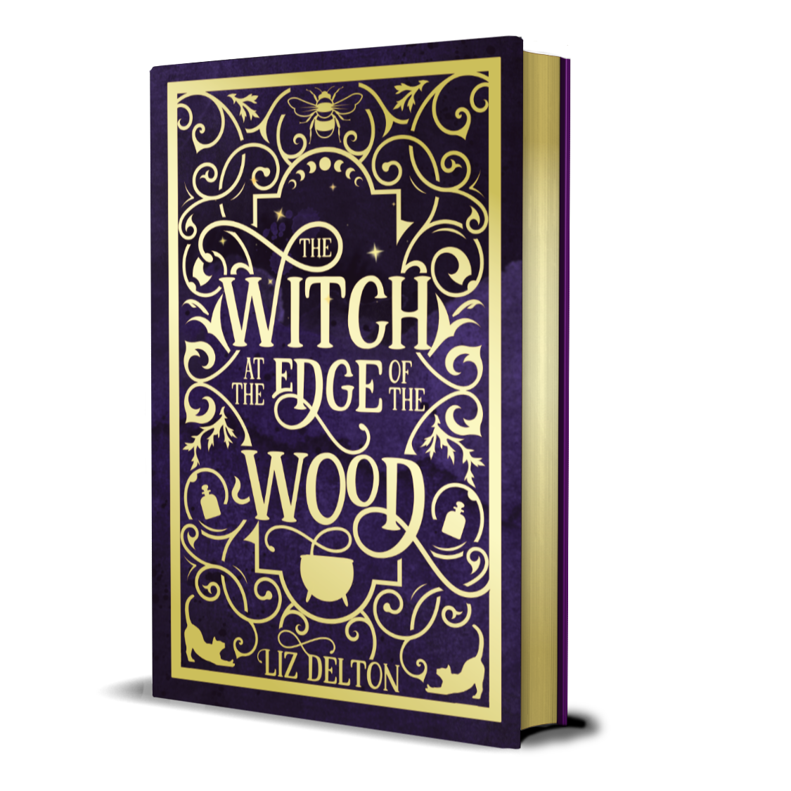SIGNED The Witch at the Edge of the Wood Deluxe Hardcover
