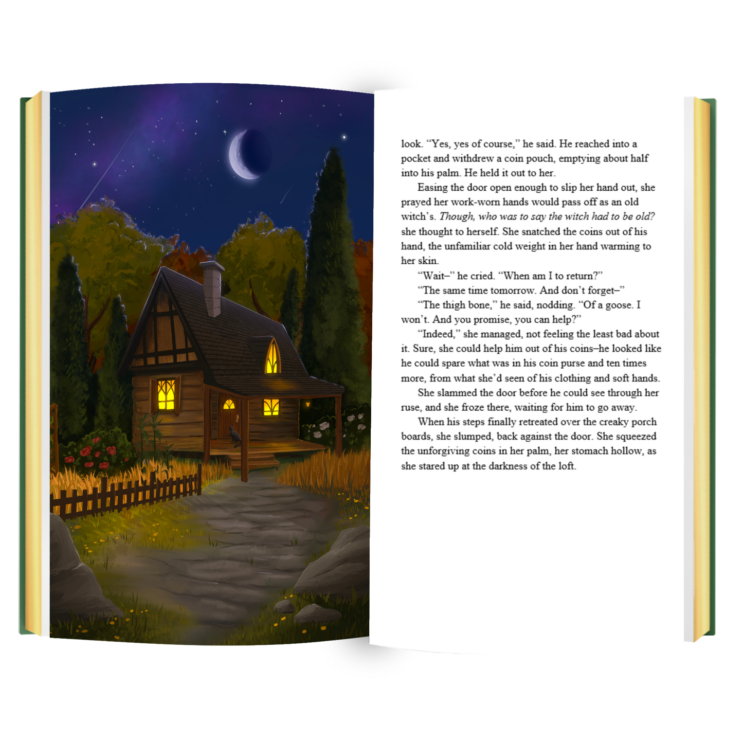 SIGNED The Tea Shop at the Edge of the Wood Deluxe Hardcover